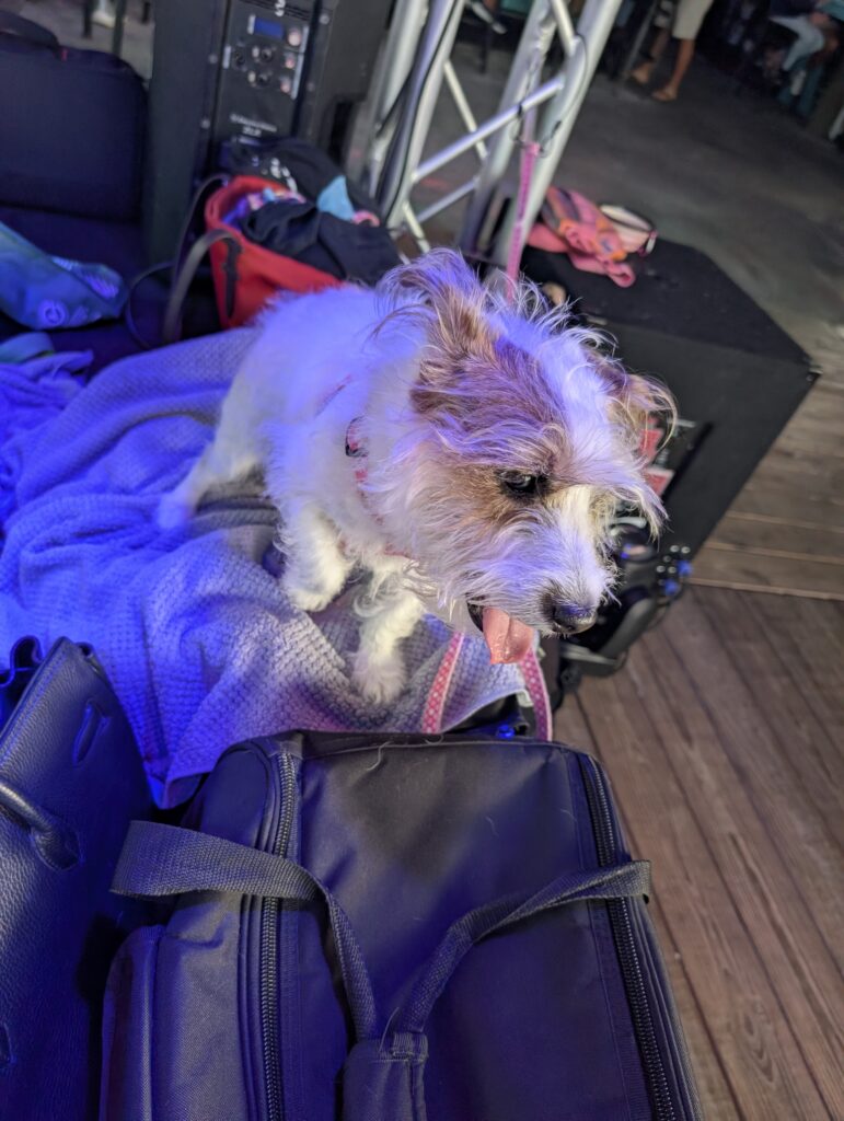 Fort Pierce Loves Hot Sauce Moon